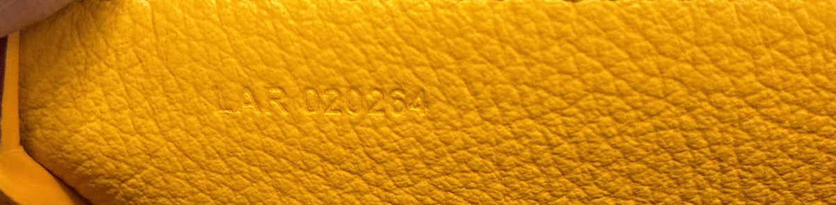 Goyard  Bonbonnière Bag Coated Canvas