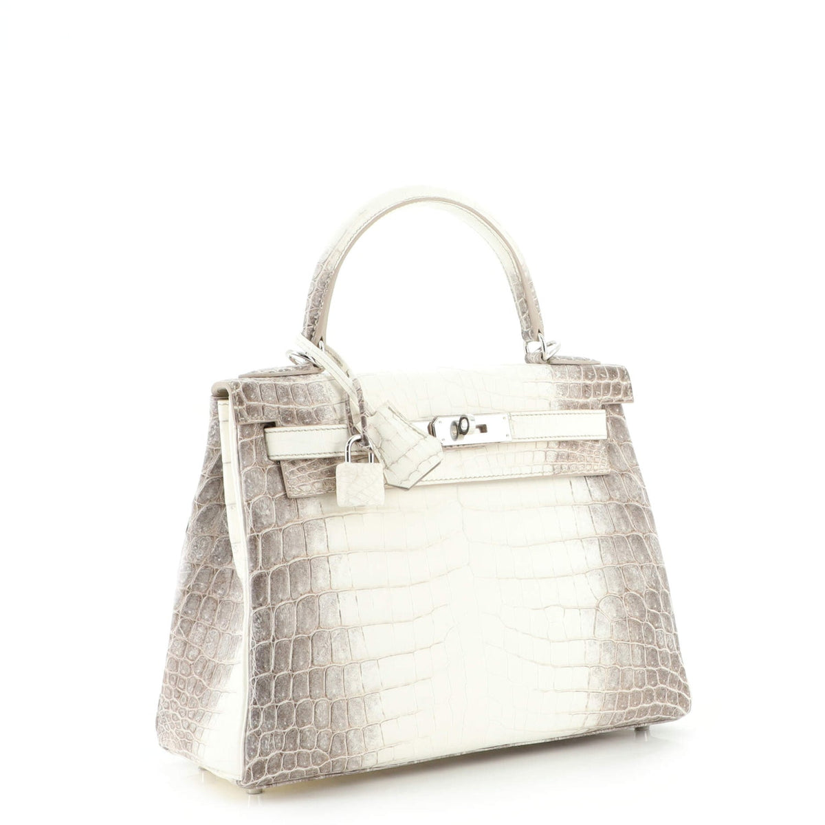 Kelly Handbag Himalayan Niloticus Crocodile with Palladium Hardware 28