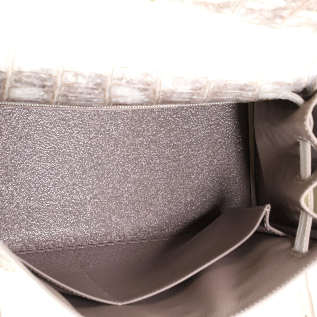Kelly Handbag Himalayan Niloticus Crocodile with Palladium Hardware 28