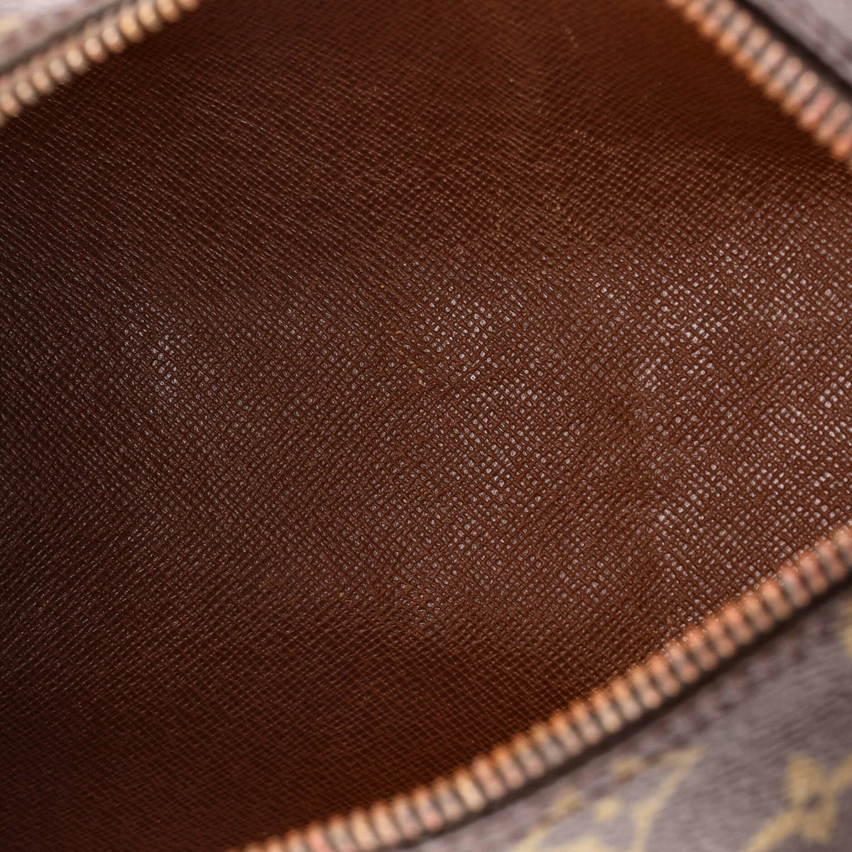 Papillon Handbag Monogram Canvas 26